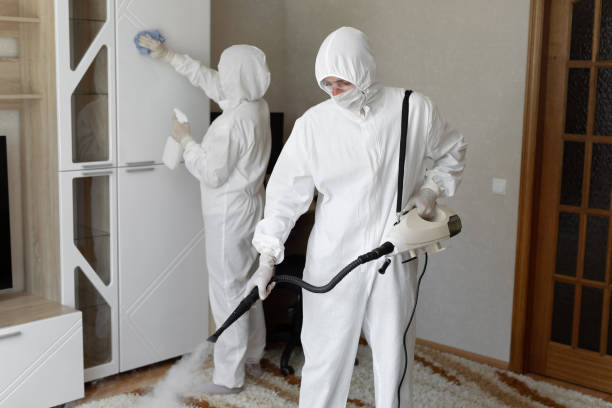 24/7 Emergency Odor Removal experts in Williamsburg, PA