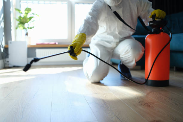 Reliable Odor Removal contractor in Williamsburg, PA by Trauma Clean Pros
